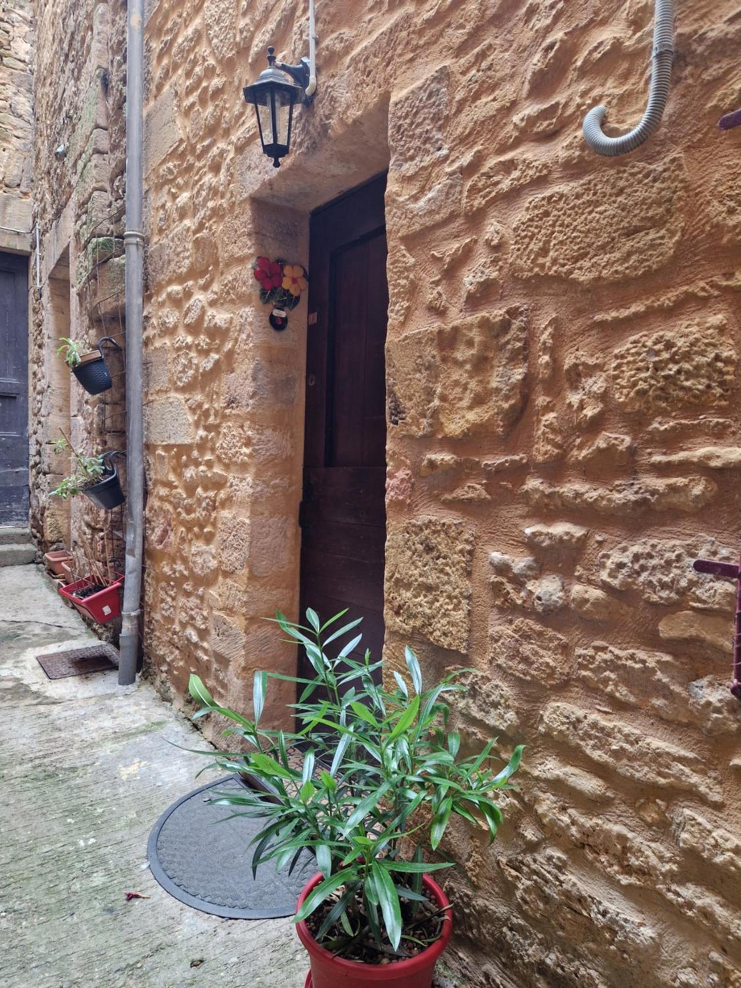 Les Flamboyants Apartment Sarlat-la-Caneda Exterior photo