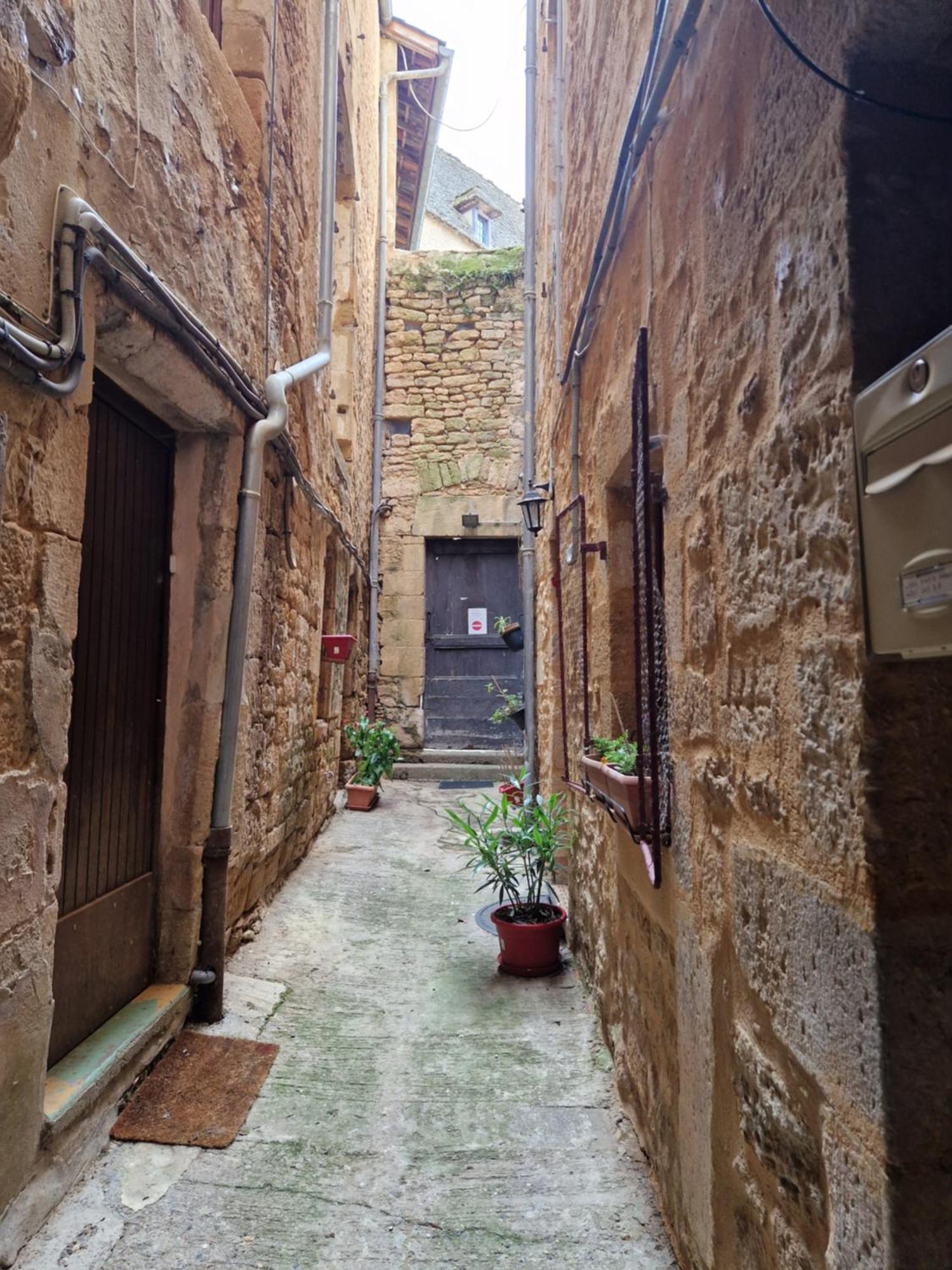 Les Flamboyants Apartment Sarlat-la-Caneda Exterior photo